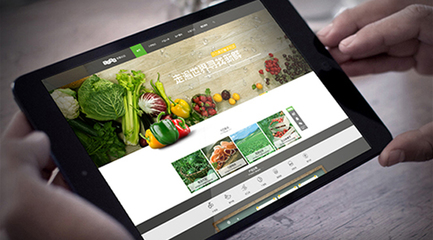 農(nóng)業(yè)類商城網(wǎng)站建設(shè)開發(fā)制作解決方案 打造一站式互聯(lián)網(wǎng)銷售平臺(tái)
